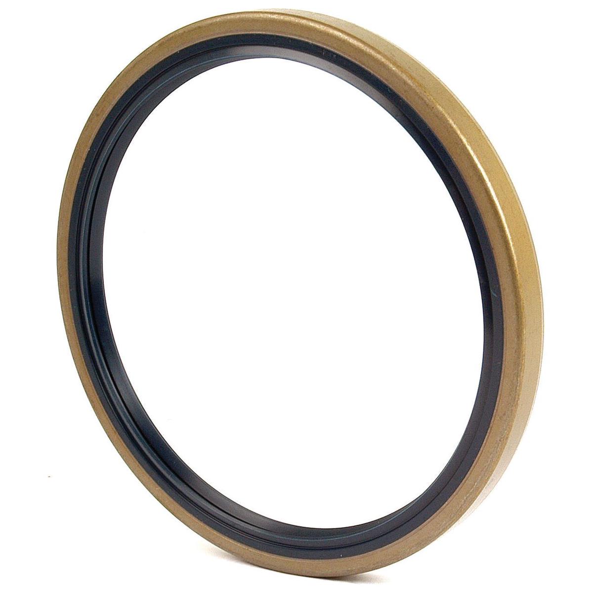 Metric Rotary Shaft Seal, 145 X 170 X 13 MM – Sparex Part S.41606