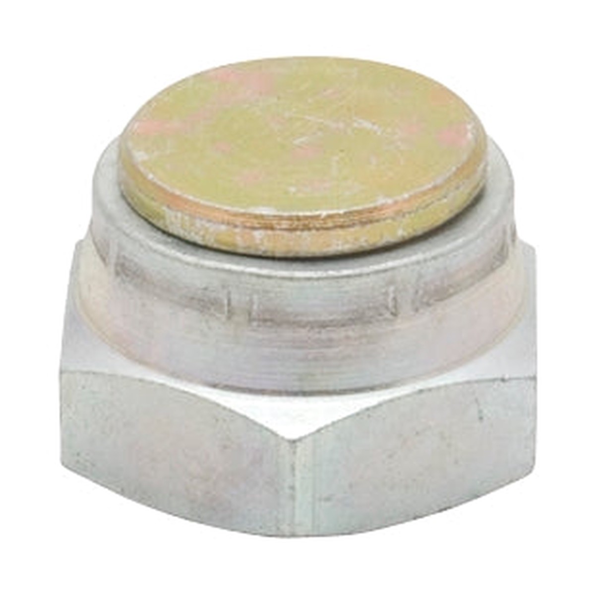 Blank BSP Female 1/4”