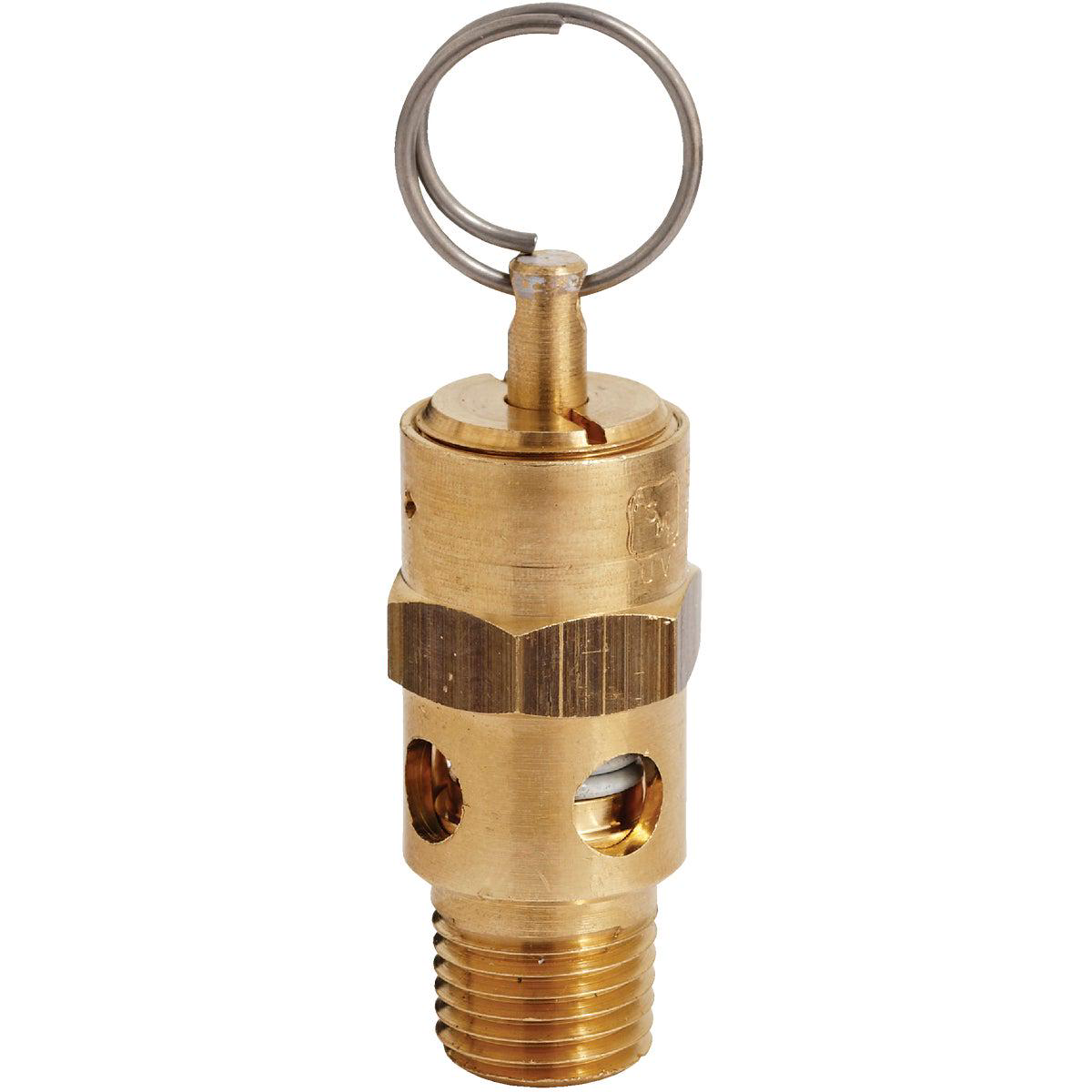 Milton 14 In MNPT 125 psi Safety Valve