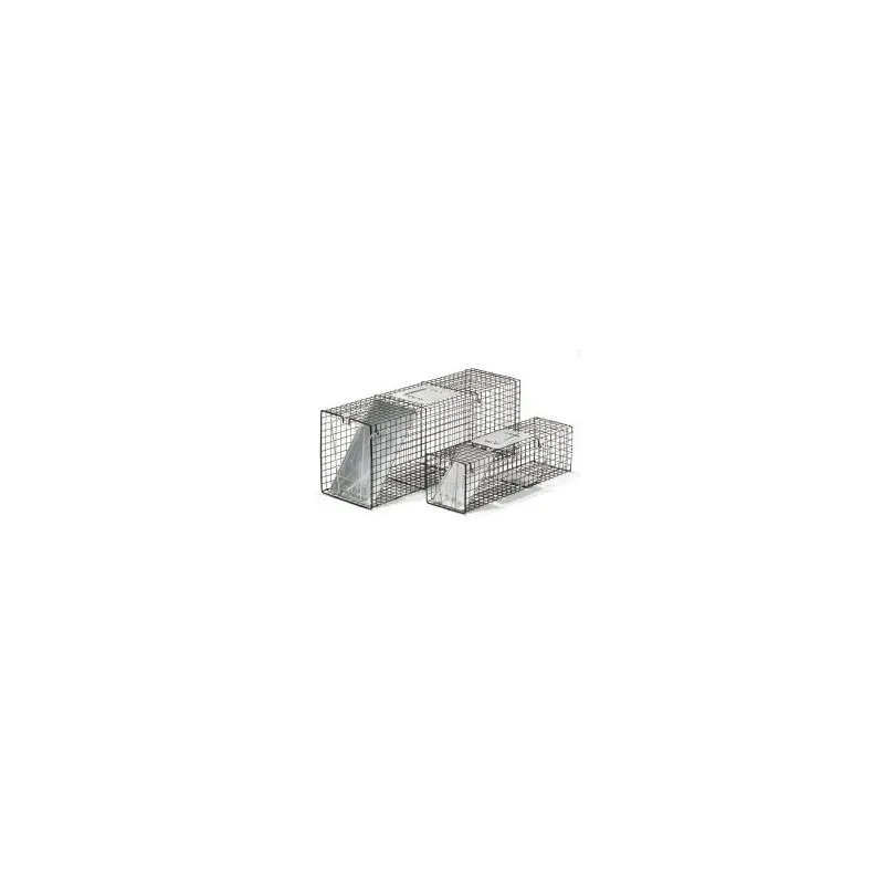 Economy Live Trap