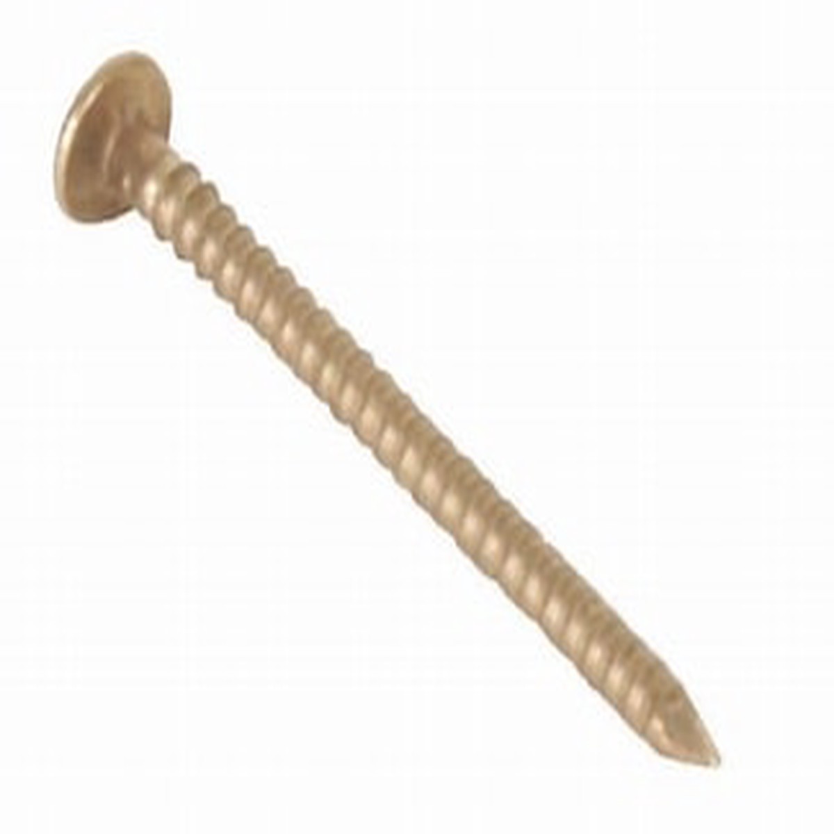 NAIL 8 X 2in. SIL. BRONZE RING