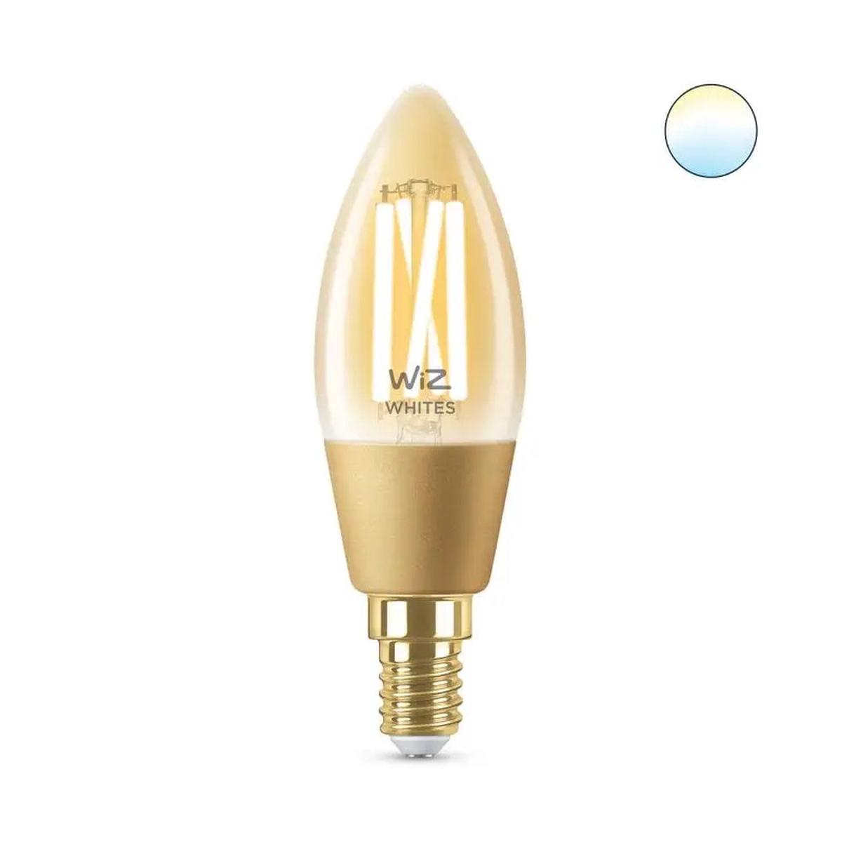 LED  25 W  C35