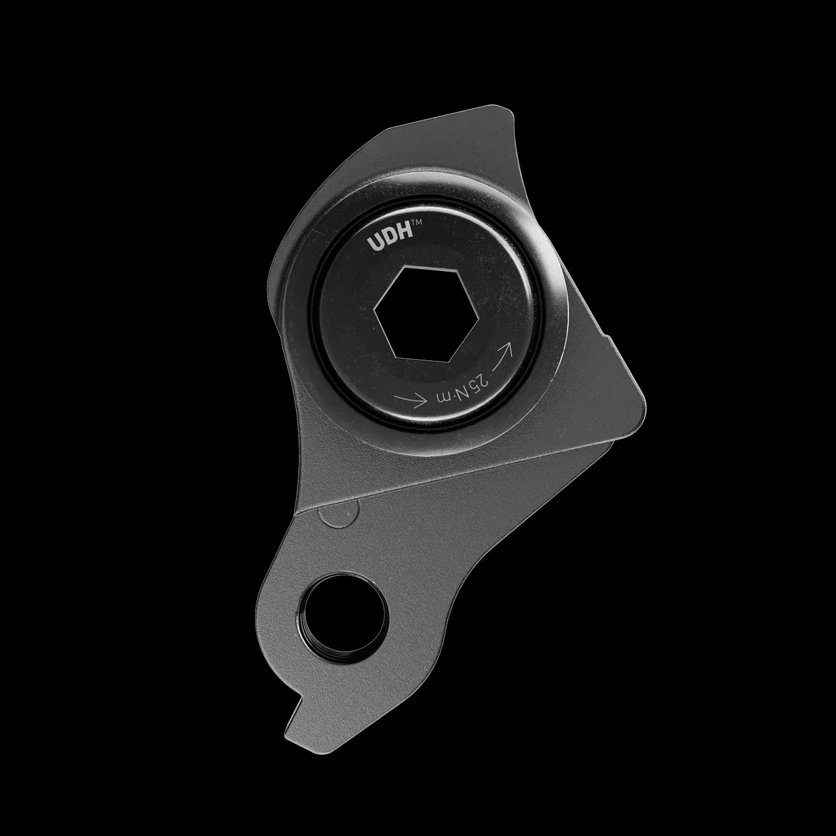 UDH compatible hanger