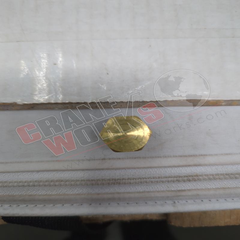 '-11083-6 | New 3/8" Brass Plug (218P-06)